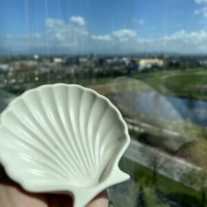shell tray shell tray