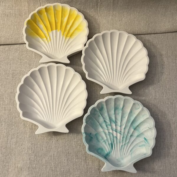 shell tray shell tray