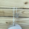 rose diffuser sticks